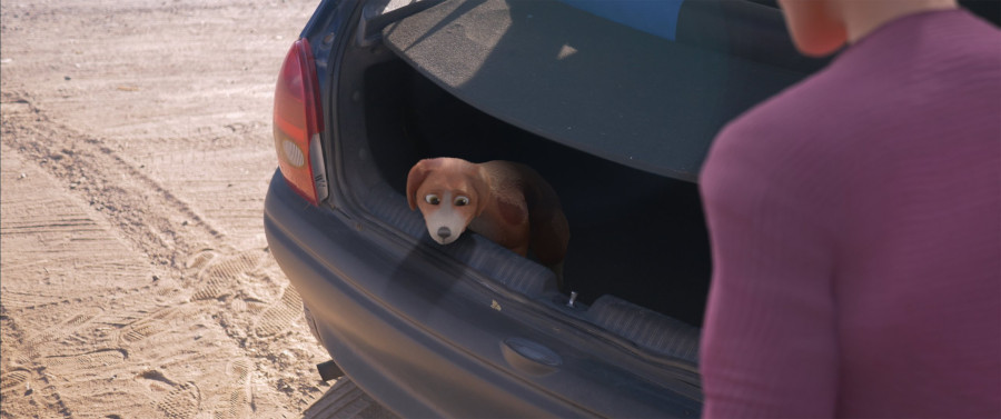 LA CARRETERA DE LOS PERROS